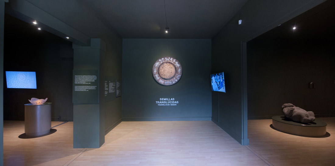 TRANSLUCENT SEEDS. Entrance to the exhibit, National Museum of Costa Rica. 2017.